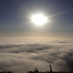 Meet your Posher, Kitty